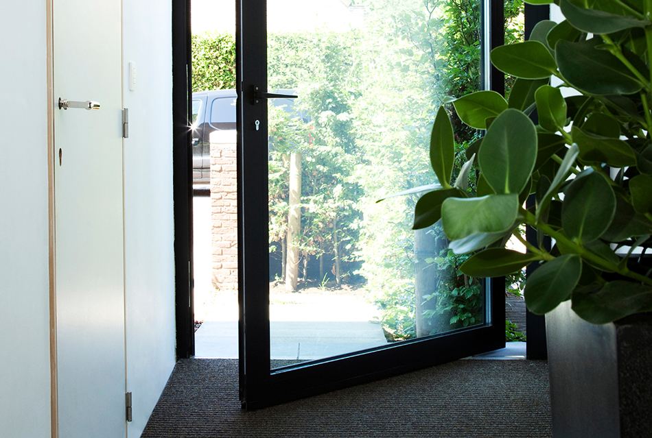 Двери MasterLine 8 Pivot Door
